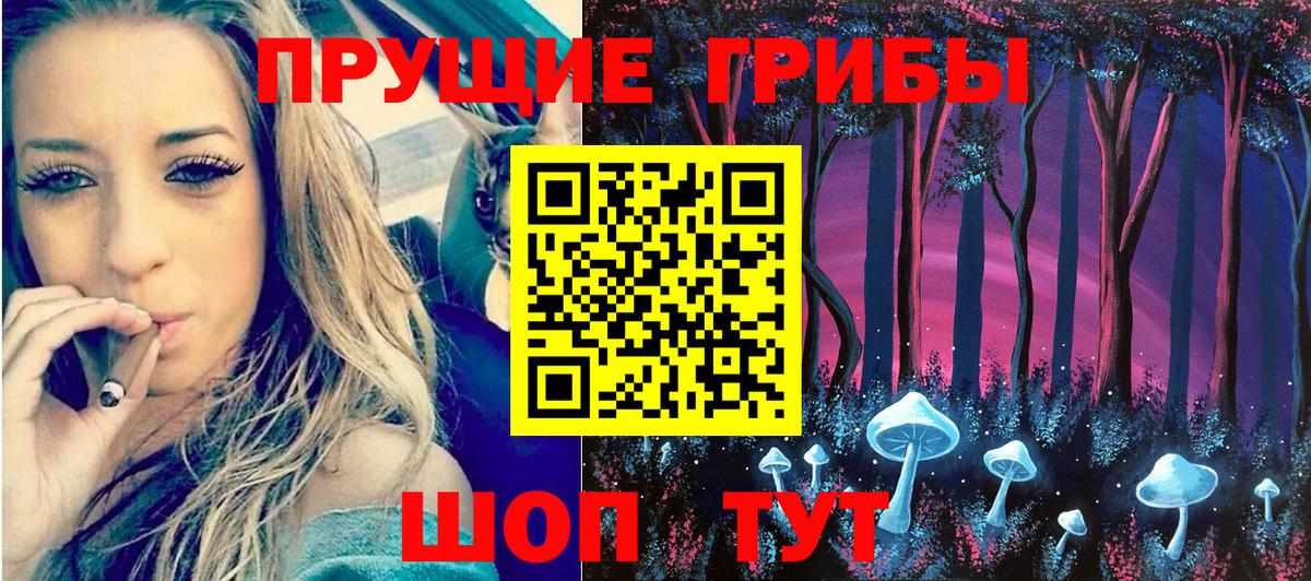 Псилоцибиновые грибы GOLDEN TEACHER  Вход с VPN  что такое   Хасавюрт 